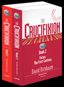 The Crucifixion by David Birnbaum